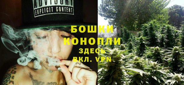 бошки Горняк