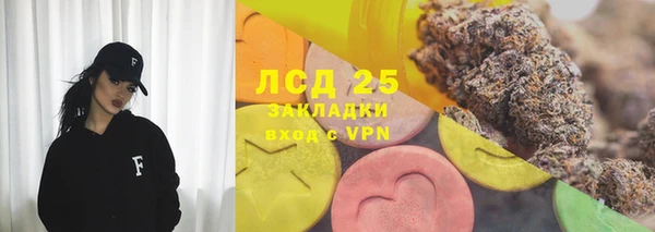 шишки Горнозаводск