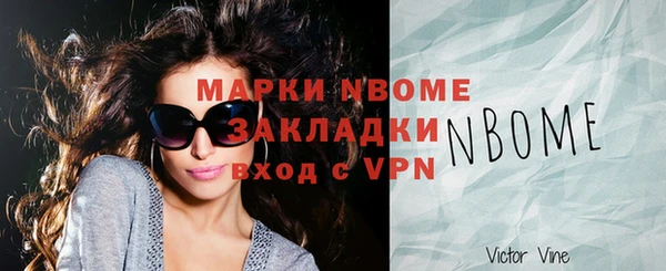 шишки Горнозаводск