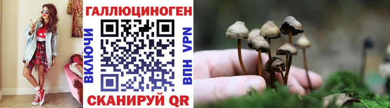 мега онион  Ярославль  Галлюциногенные грибы Magic Shrooms  где купить наркотик 